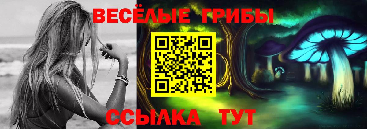 Псилоцибиновые грибы Magic Shrooms  Галлюциногенные грибы прущие грибы  Калуга  Вход с VPN 
