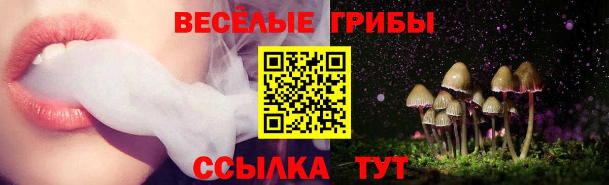 Галлюциногенные грибы GOLDEN TEACHER Калуга